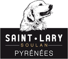 logo commune stlarysoulan