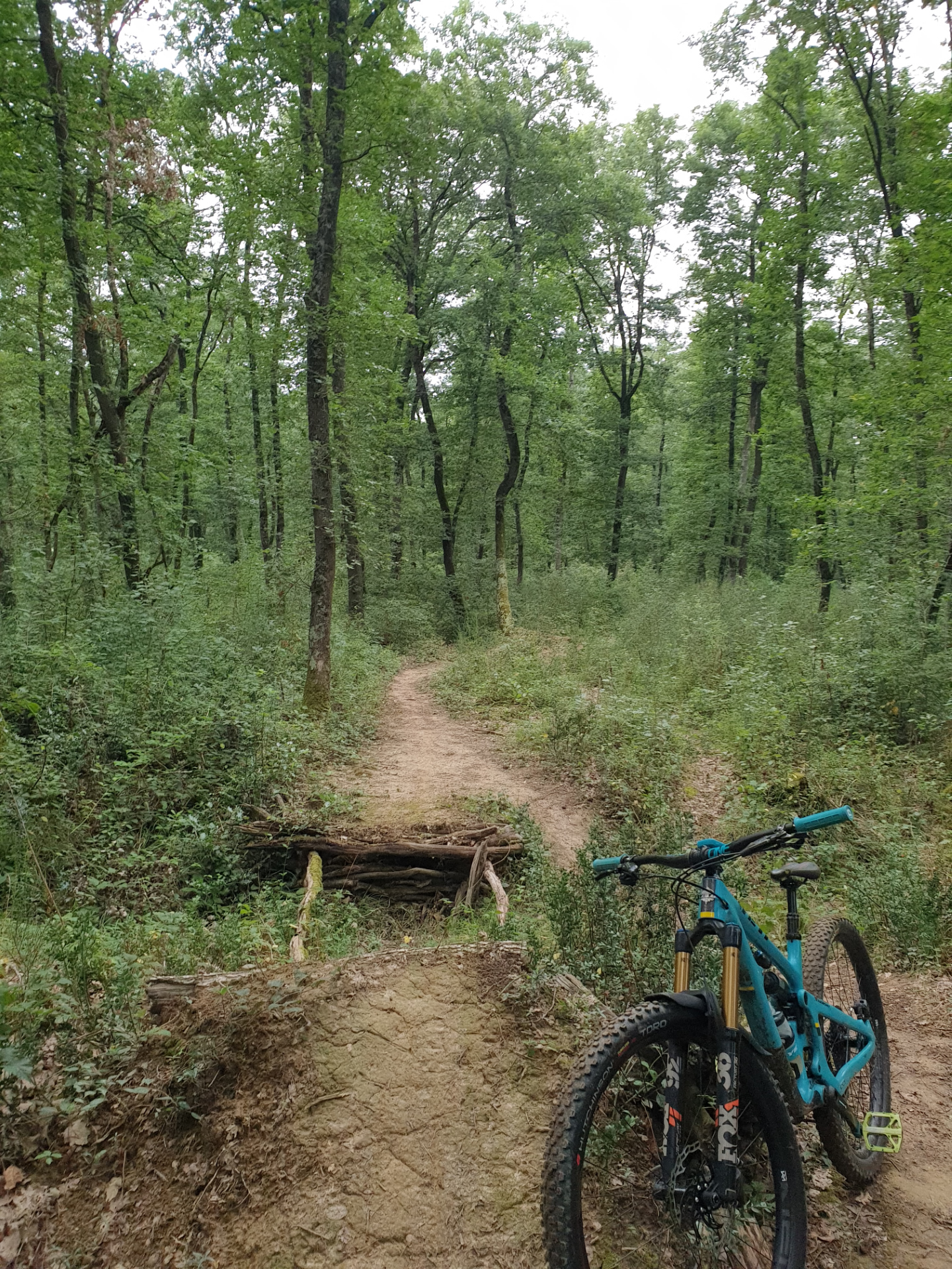 Sortie Sportive forêt d' eaunes