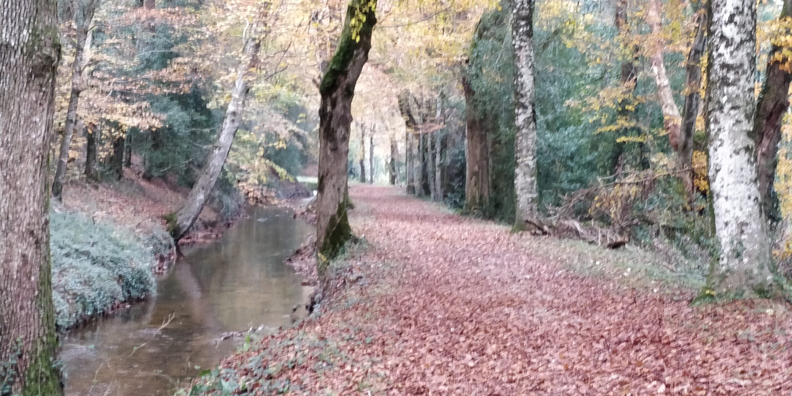 You are currently viewing Sortie Loisir Chapelle Lacroix