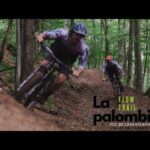 Sortie All-Mountain/Enduro Flow Trail à Arbas