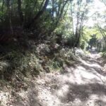 Sortie VTT a la forêt de Eaunes