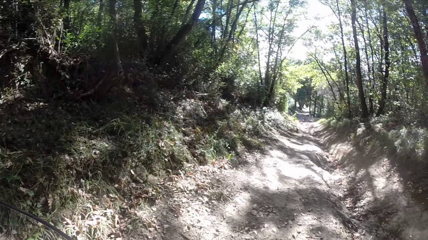 Sortie VTT a la forêt de Eaunes