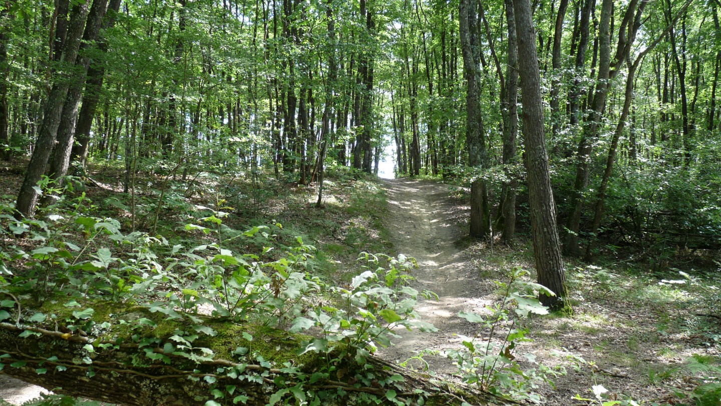 Sortie tranquille à Bouconne